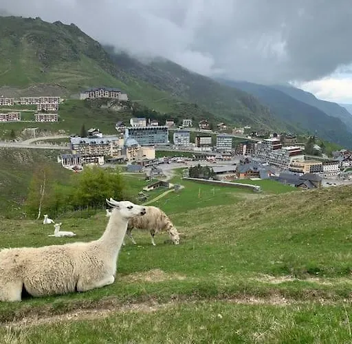 Appt Chaleureux 2 - 4 Personnes Au Pied Des Pistes - Draps Et Linges De Toilette Non Fournis - Menage Non Inclus *