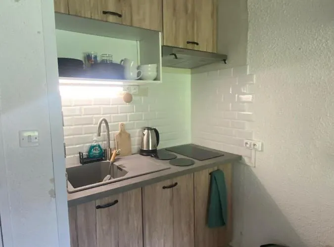 Appt Chaleureux 2 - 4 Personnes Au Pied Des Pistes - Draps Et Linges De Toilette Non Fournis - Menage Non Inclus La Mongie